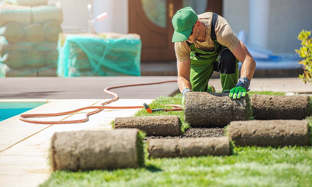 Blog - Professional Landscaper Installing New Grass Turfs in a Garden